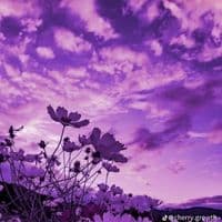 TikTok Account - mightybicca