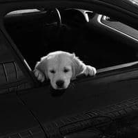 TikTok Account - olann144p