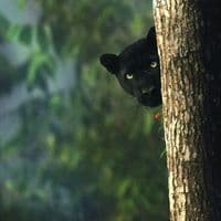 TikTok Account - mvrtiin.477