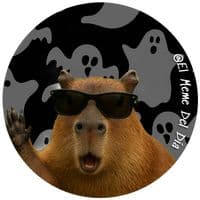 TikTok Account - el.meme.del.da