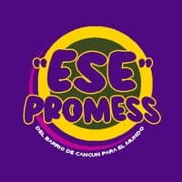 TikTok Account - esepromessoficial