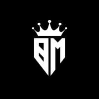 TikTok Account - brayan_rmusicx