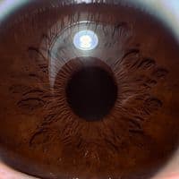 TikTok Account - k.asioka