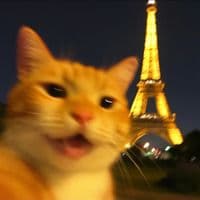 TikTok Account - akiii173