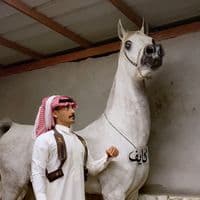 TikTok Account - t.ahmr