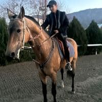 TikTok Account - ahmet.1859