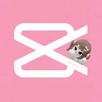 TikTok Account - ohmyrineu