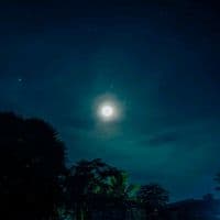 TikTok Account - benedict_083