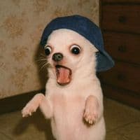 TikTok Account - barbielattt09