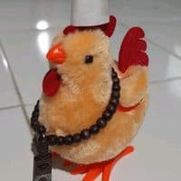 TikTok Account - wongoldcah