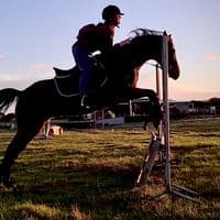 TikTok Account - equestrian.edits23