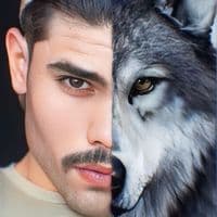 TikTok Account - wahab_kurtoglu