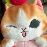 TikTok Account - chellianehara