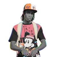 TikTok Account - mande.lizer30