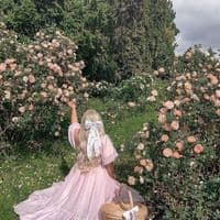 TikTok Account - ytekfinds_