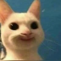 TikTok Account - thesalisa._