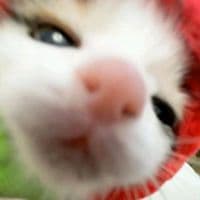 TikTok Account - cyyrraa._