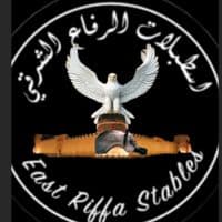 TikTok Account - east.riffa.stables