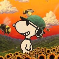 TikTok Account - dalziy1