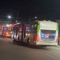 TikTok Account - davifelipemartins0