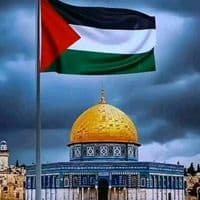 TikTok Account - copy.music.video