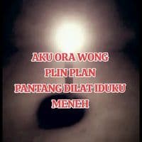 TikTok Account - anis.khan479