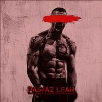 TikTok Account - pawaz_444