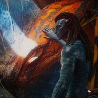 TikTok Account - bioluminfx