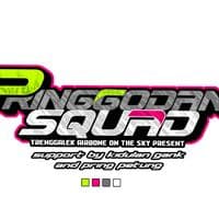 TikTok Account - pringgodanisquad