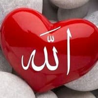 TikTok Account - raya_29_66