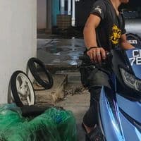 TikTok Account - mlktea_bysuu