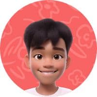 TikTok Account - arju54482