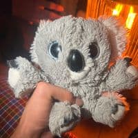 TikTok Account - tashi_bumps