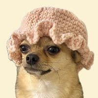 TikTok Account - binoochi