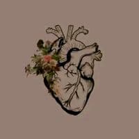 TikTok Account - ahpn11