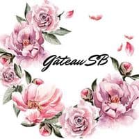 TikTok Account - sb_gateausb