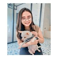 TikTok Account - lopmitoo._