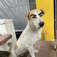 TikTok Account - nht.minh739