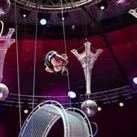 TikTok Account - eduard.filin