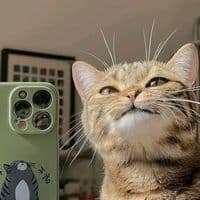 TikTok Account - itx_welcome_karachi12