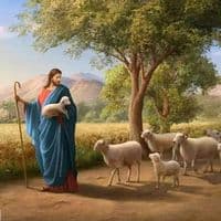 TikTok Account - hegere__orthodox_