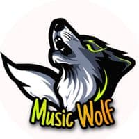 TikTok Account - music.wolf