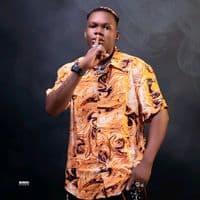 TikTok Account - yanvi.yoyo1