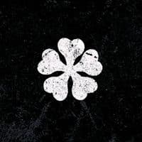 TikTok Account - zenonzogratis45