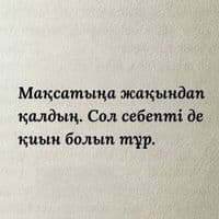 TikTok Account - gohaaasa