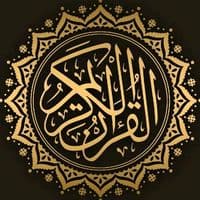 TikTok Account - 1..abu_kamal8