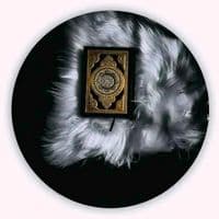 TikTok Account - quran_mubarak257