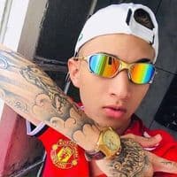 TikTok Account - lucassoare001