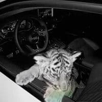 TikTok Account - teo_09990