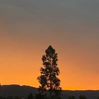 TikTok Account - user83654113156296